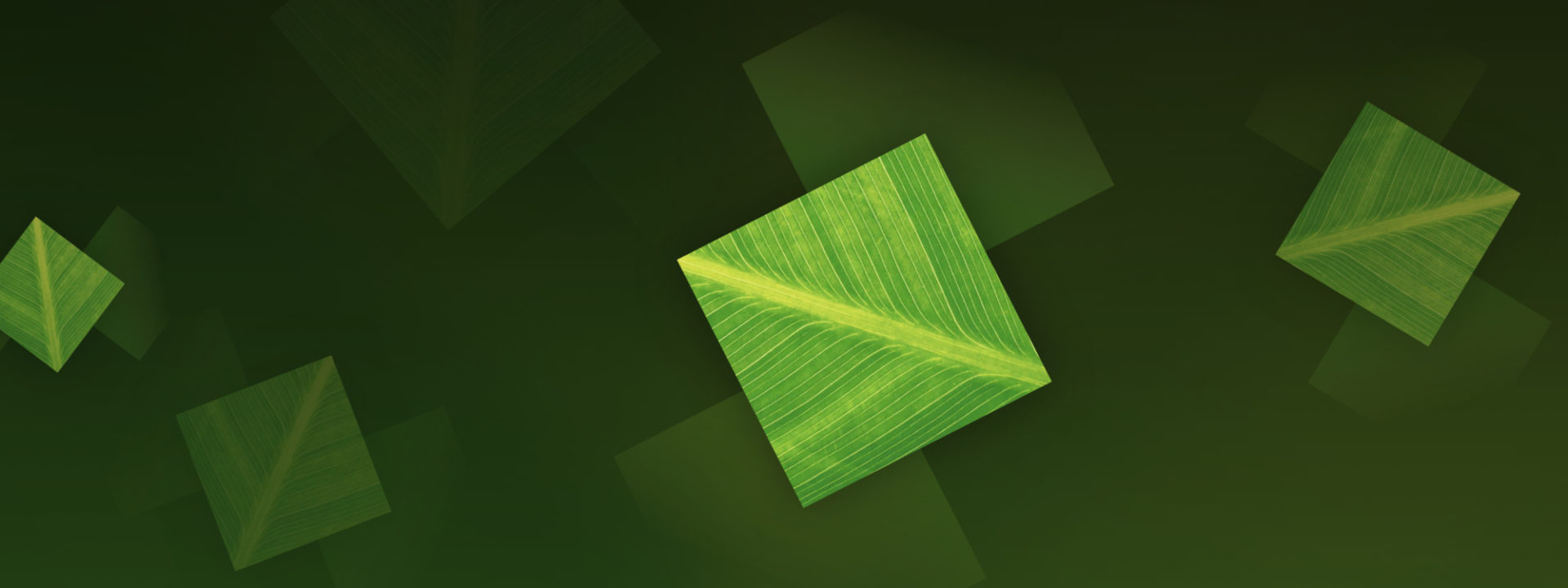 Winton Absolute Return Futures Fund Banner