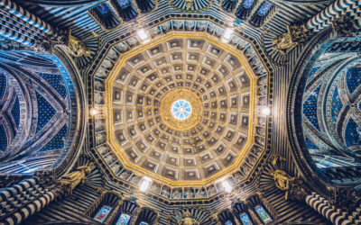 Blinded By Optimism David Siglin 87982