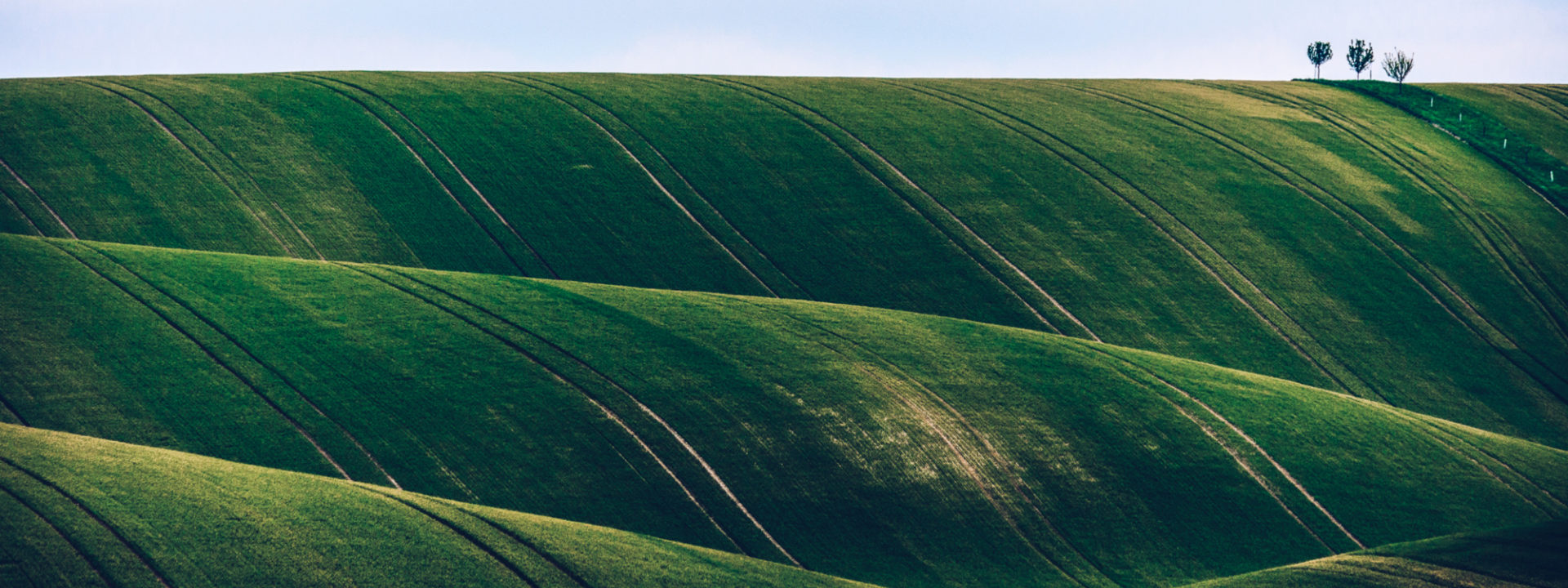 Roll Yield And Futures Investing Dawid Zawila 251904