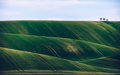 Roll Yield And Futures Investing Dawid Zawila 251904