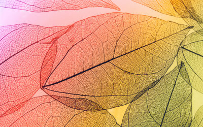Seasonal Volatility And The Multiplicity Effect